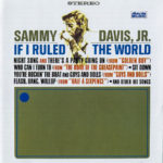 If I Ruled The World CCM