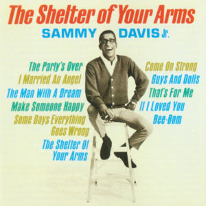 The Shelter Of Your Arms Download